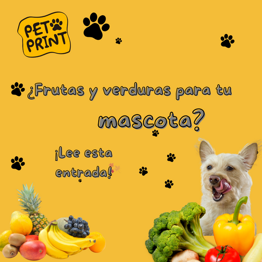 ¿Puede tu mascota comer todas las frutas y verduras? Guía para una Alimentación Saludable y Segura 🐾🍎