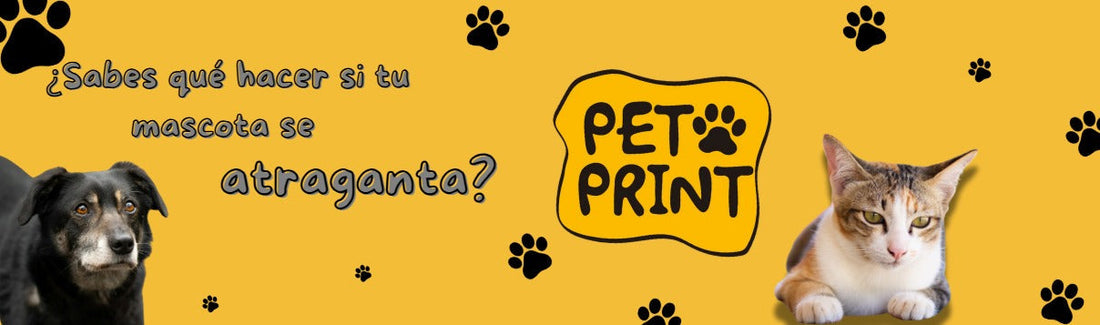 ¿Sabrías cómo actuar si tu mascota se atraganta? 🐶🐱