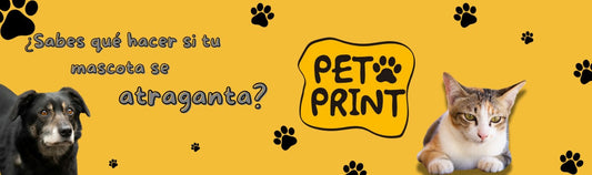¿Sabrías cómo actuar si tu mascota se atraganta? 🐶🐱