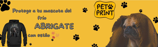 ¡Bienvenido el otoño! Protege a tu mascota del frío y abrígate con estilo 🍂