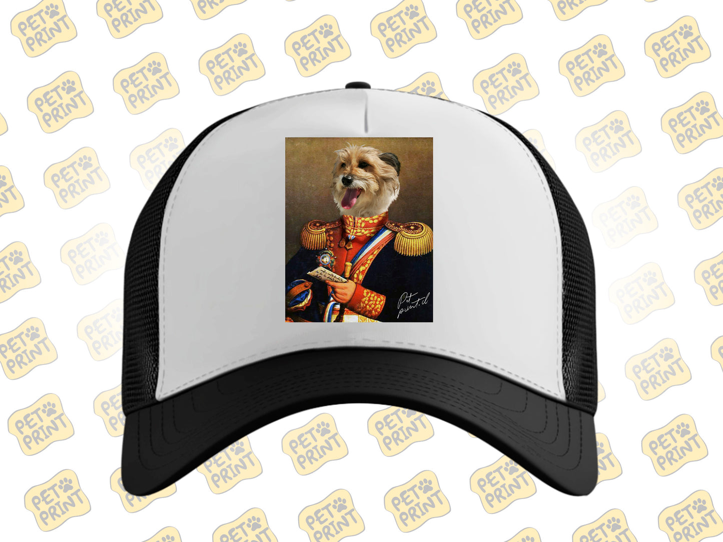 Gorro - Bernardo O'Higgins