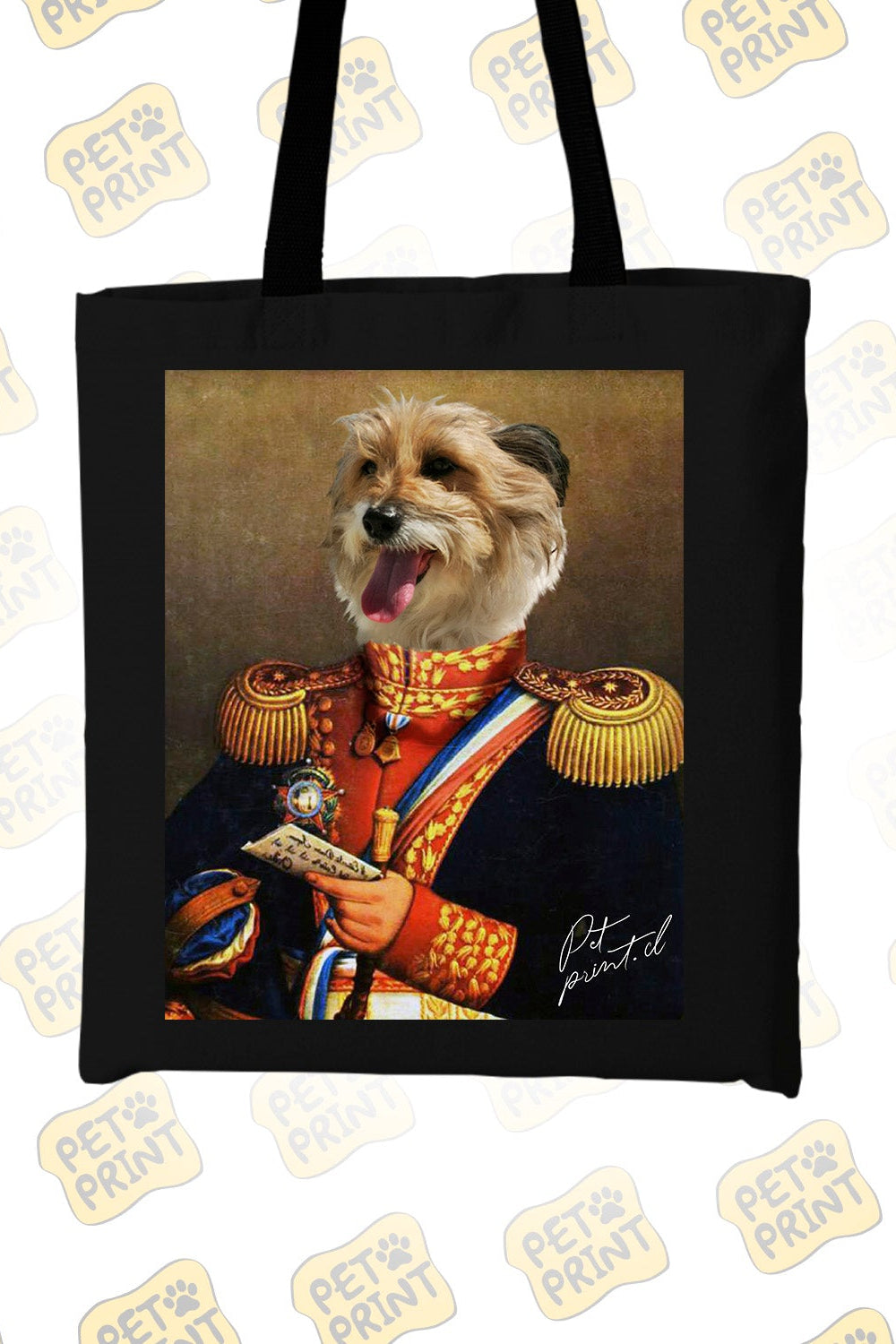 Tote Bag - Bernardo O'Higgins