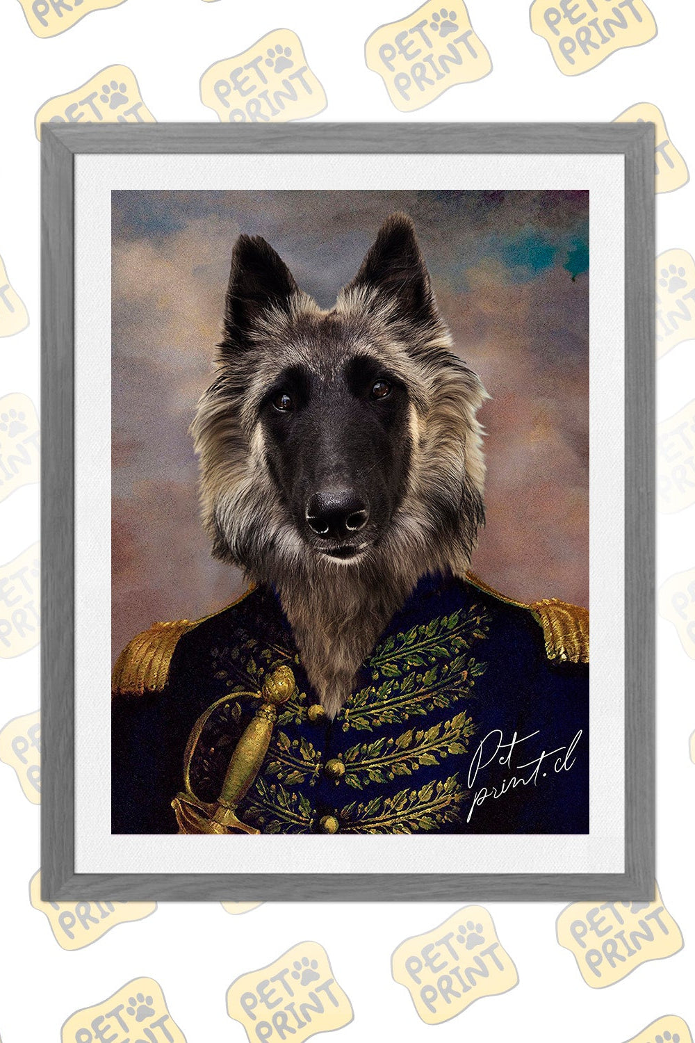 Cuadro Enmarcado - Capitán