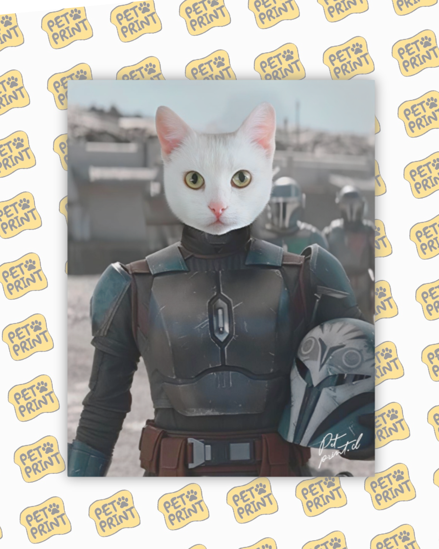 Cuadro Canvas - Bo-Katan Kryze