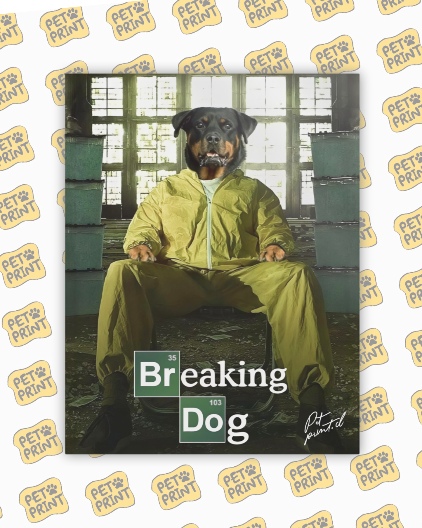 Cuadro Canvas - Breaking Dog