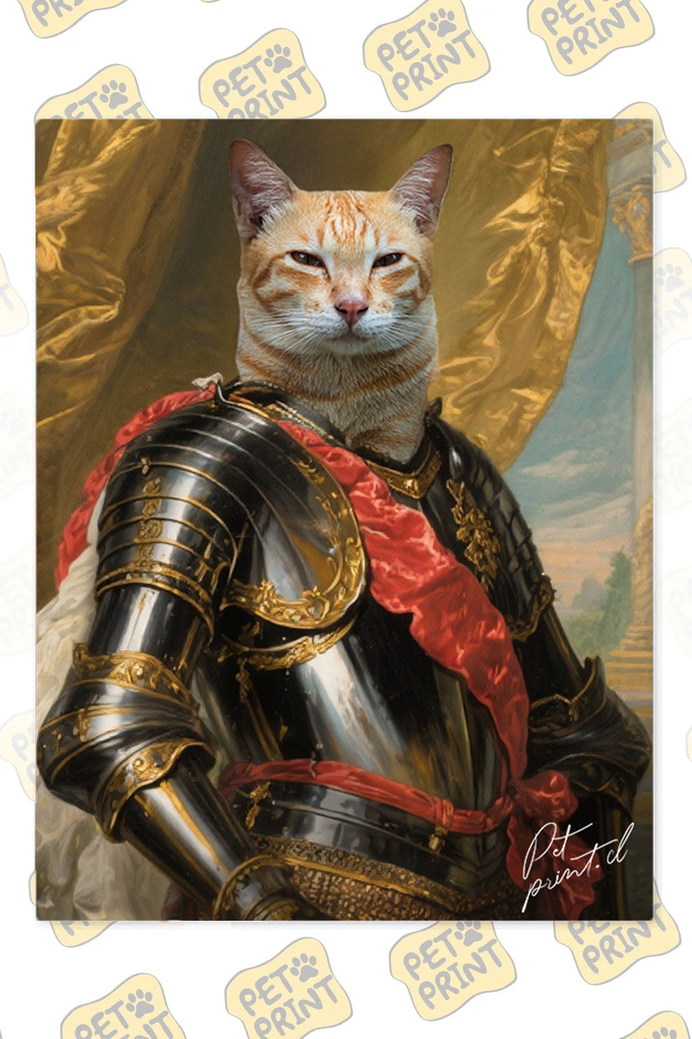 Cuadro Canvas - Caballero Gato