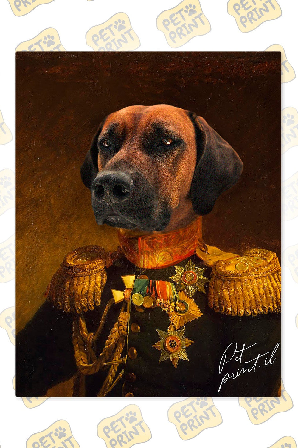 Cuadro Canvas - El General