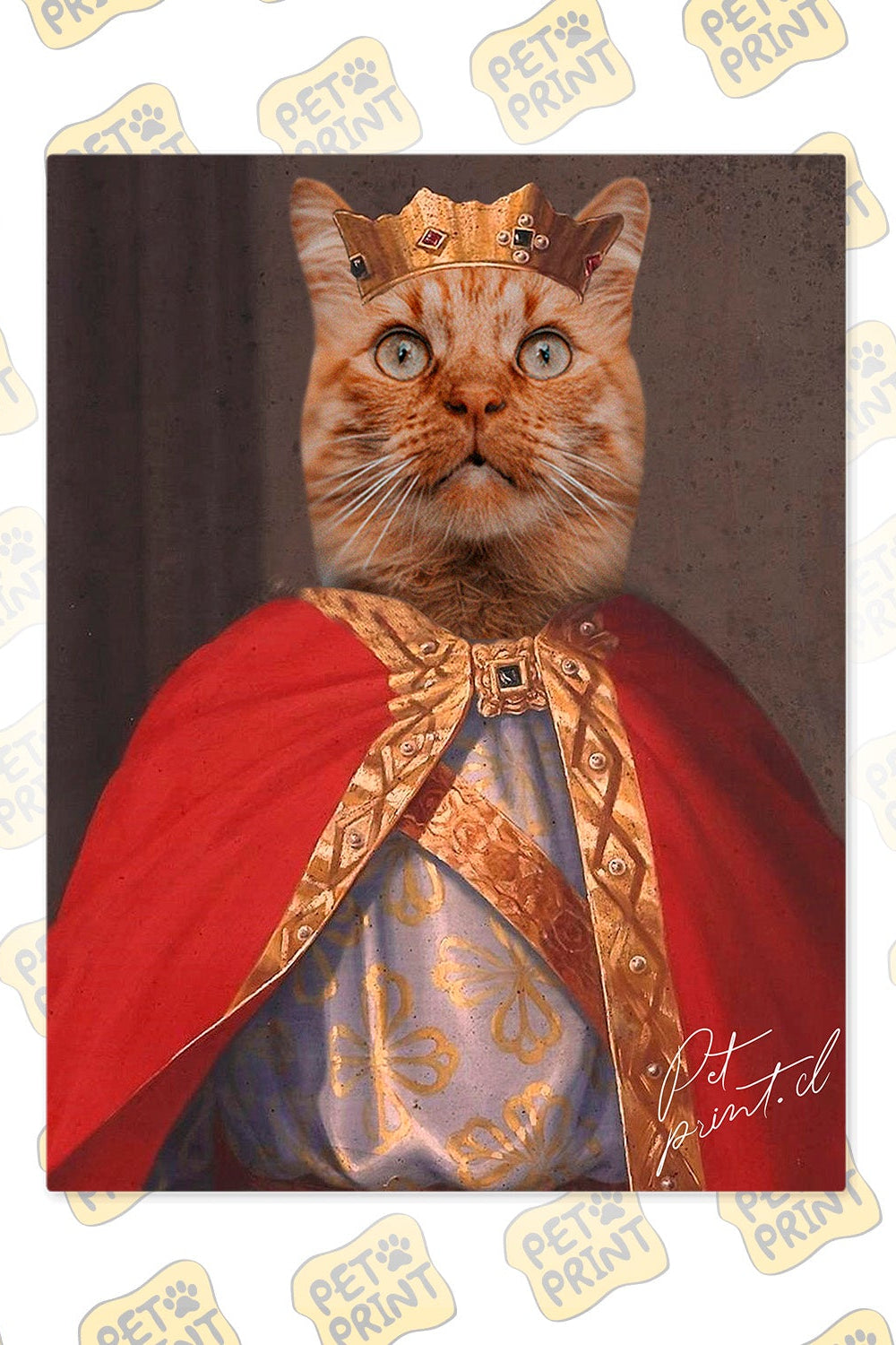 Cuadro Canvas - El Joven Rey