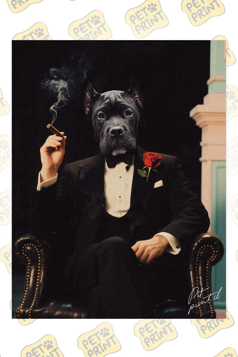 Cuadro Canvas - Pet Padrino