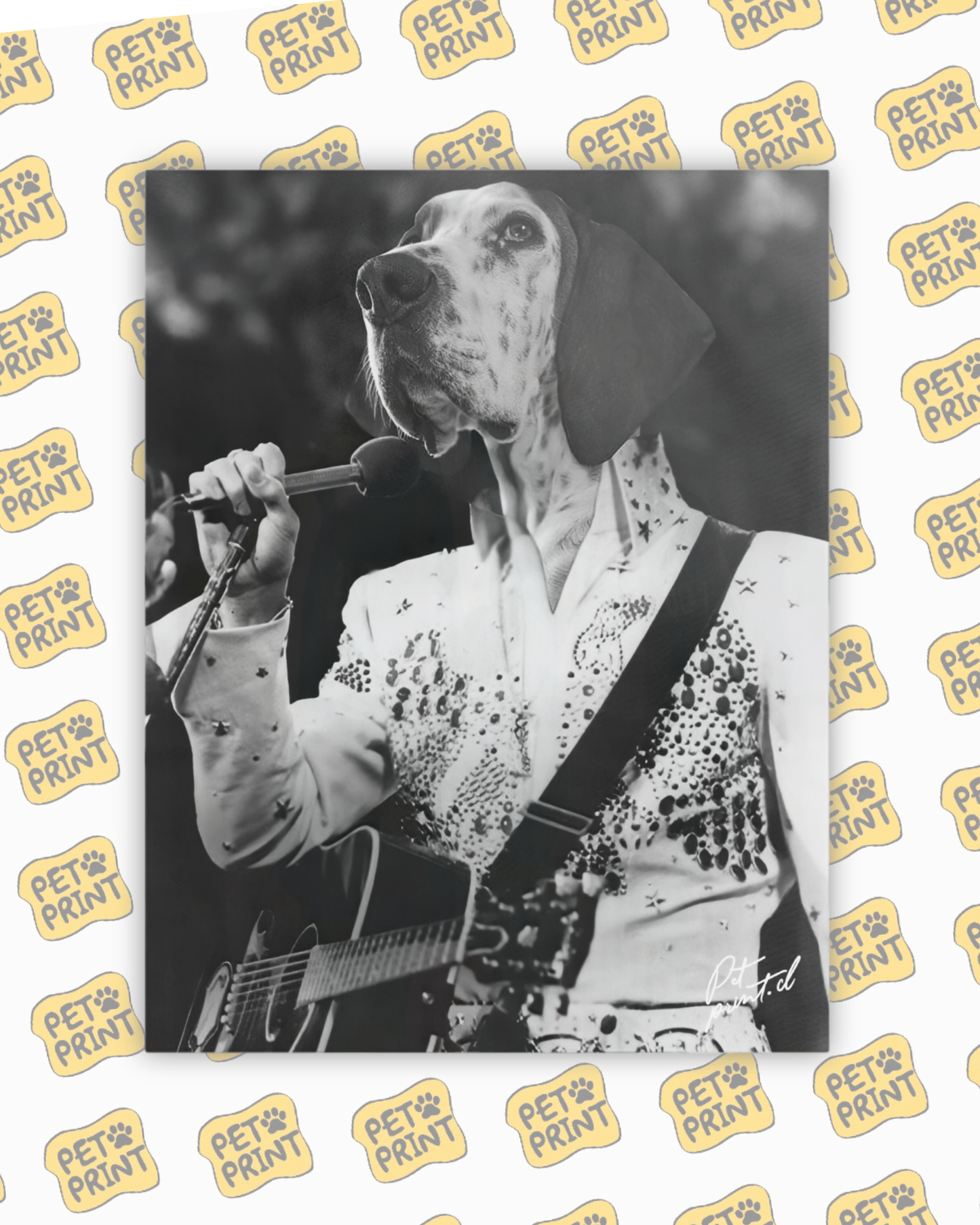 Cuadro Canvas - Elvis