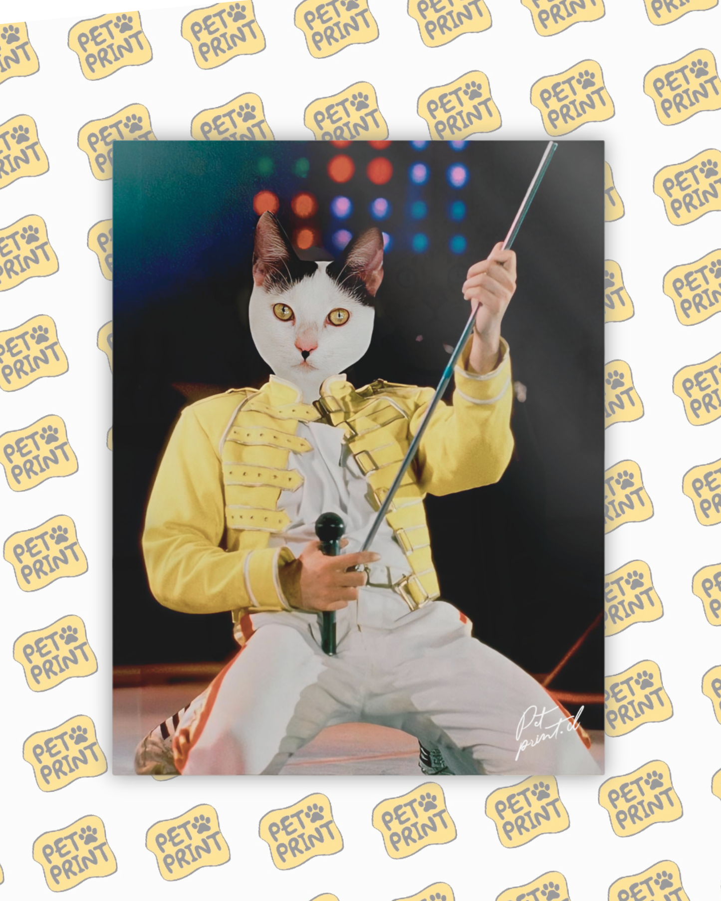 Cuadro Canvas - Freddie Mercury