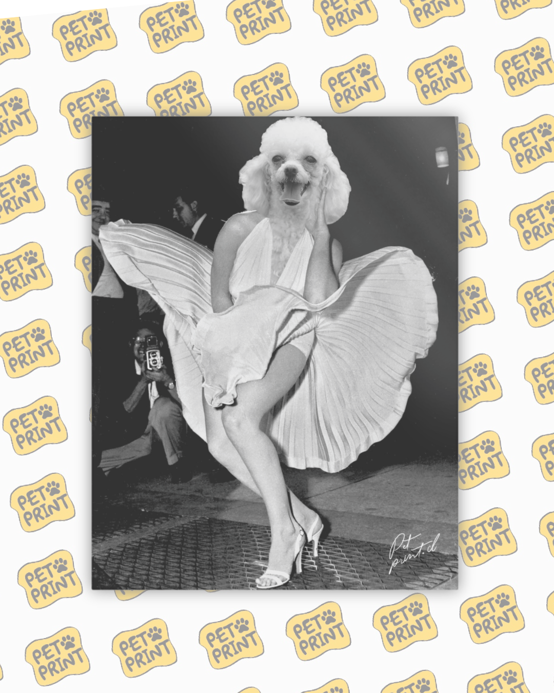 Cuadro Canvas - Marilyn Monroe