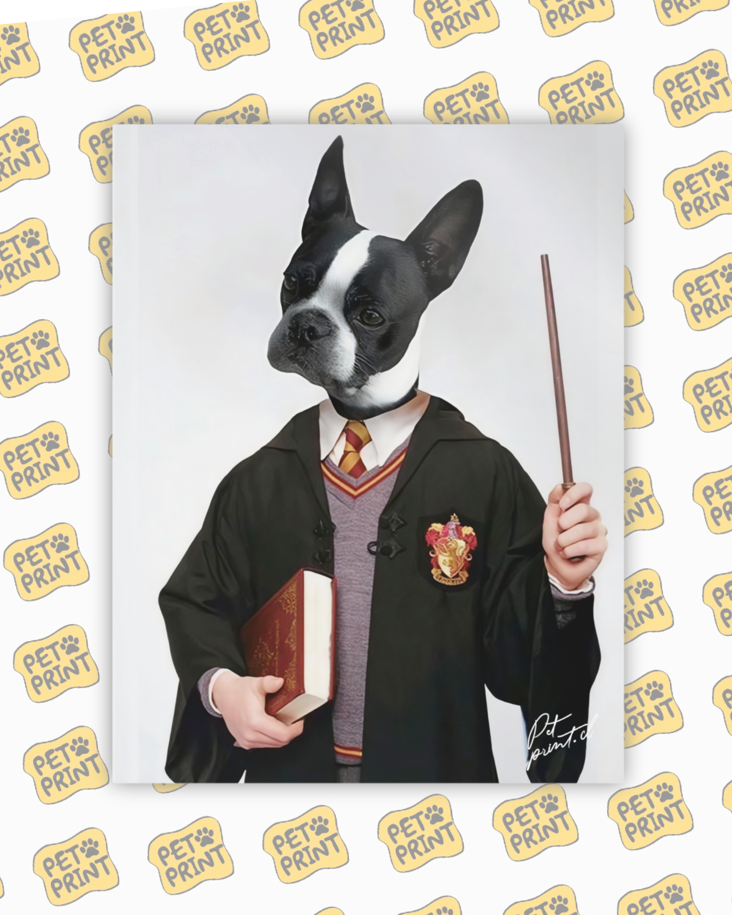 Cuadro Canvas - Mascota Gryffindor