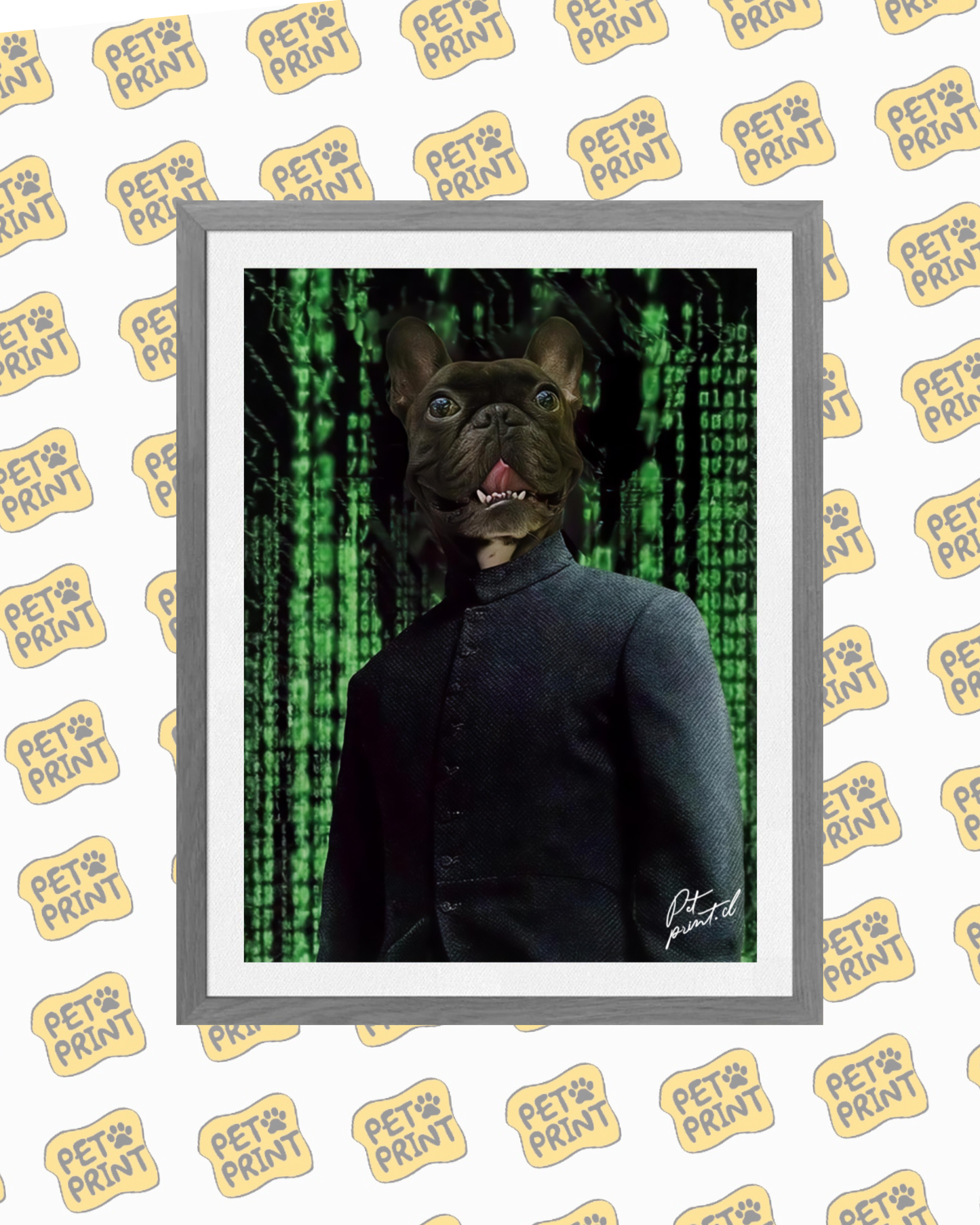 Cuadro Enmarcado - Matrix