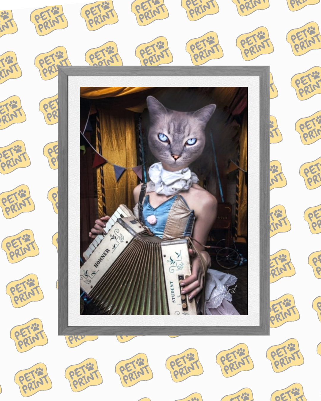 Cuadro Enmarcado - Muñeca de Circo