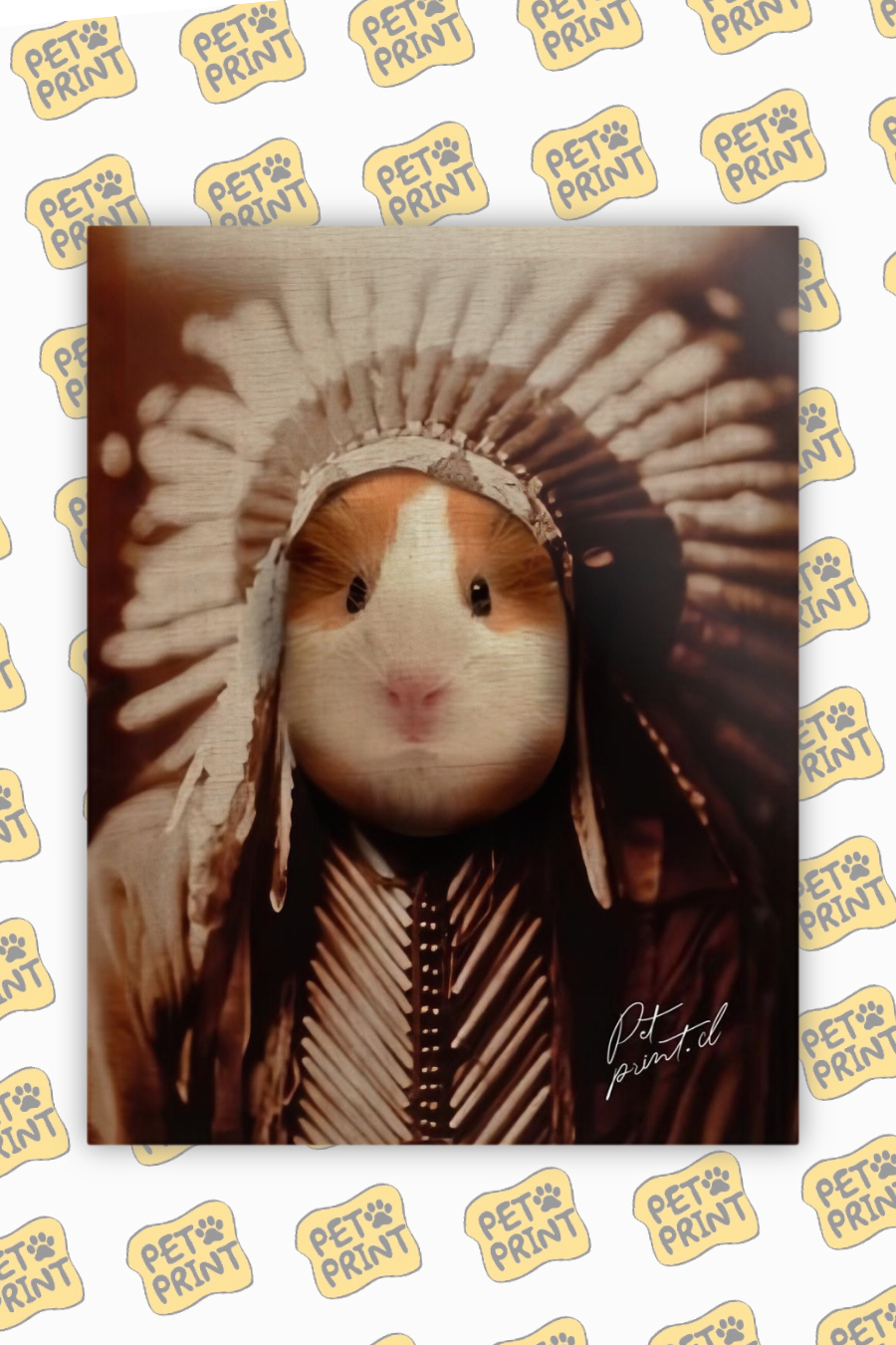 Cuadro Canvas - Nativo Americano