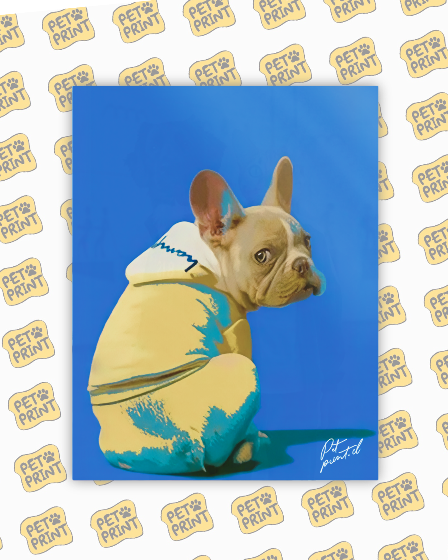 Cuadro Canvas - Retrato Sencillo 2