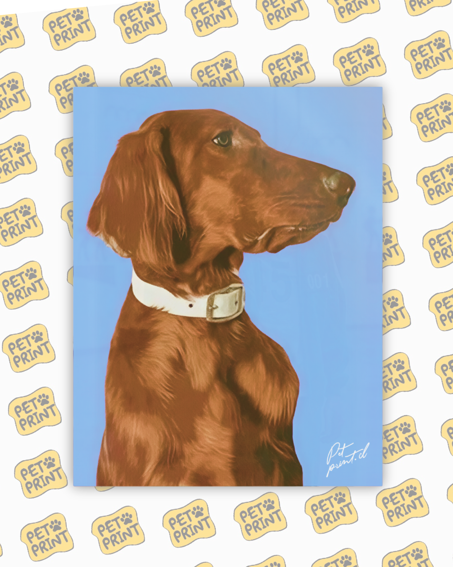 Cuadro Canvas - Retrato plano