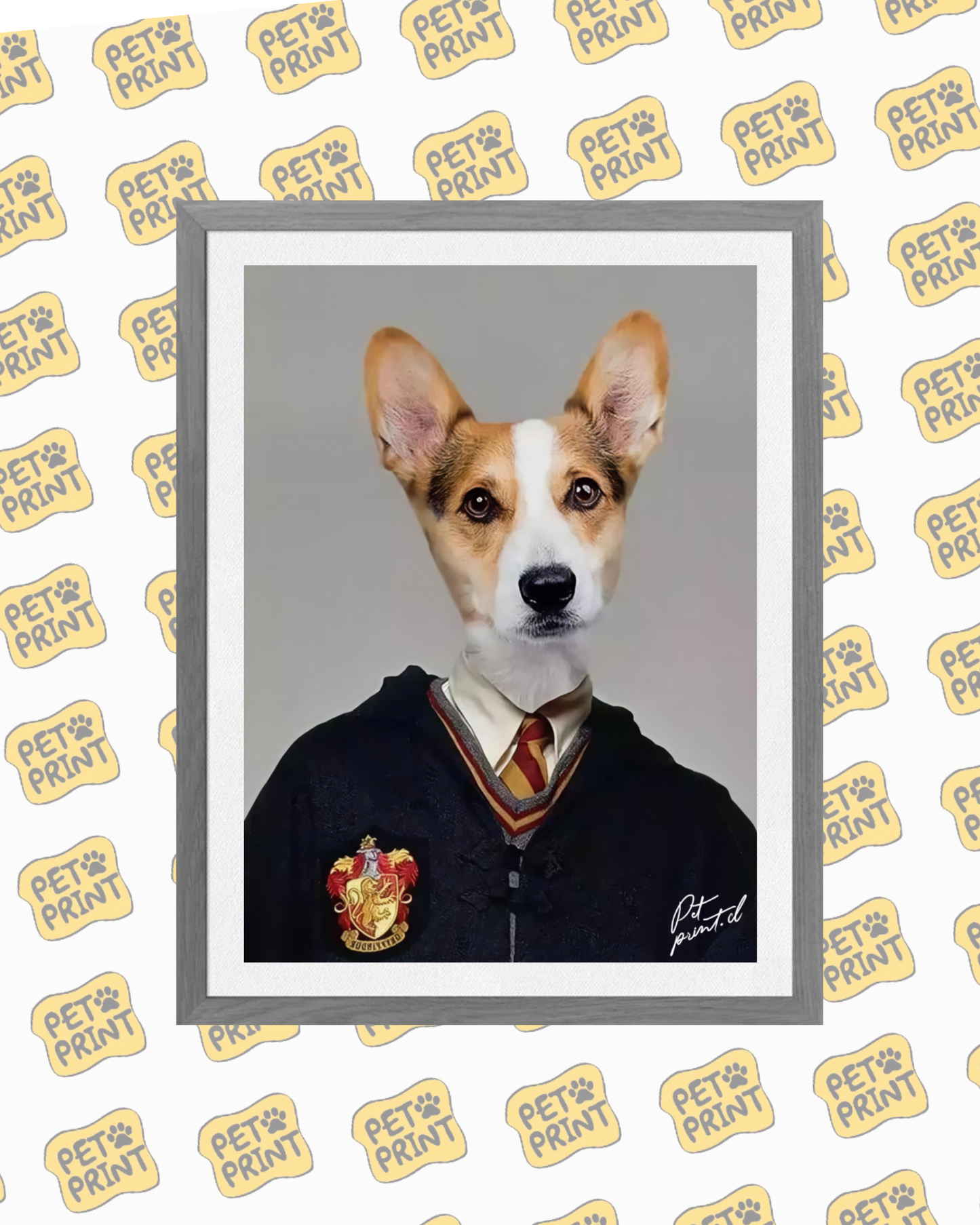 Cuadro Enmarcado - Ron Weasley