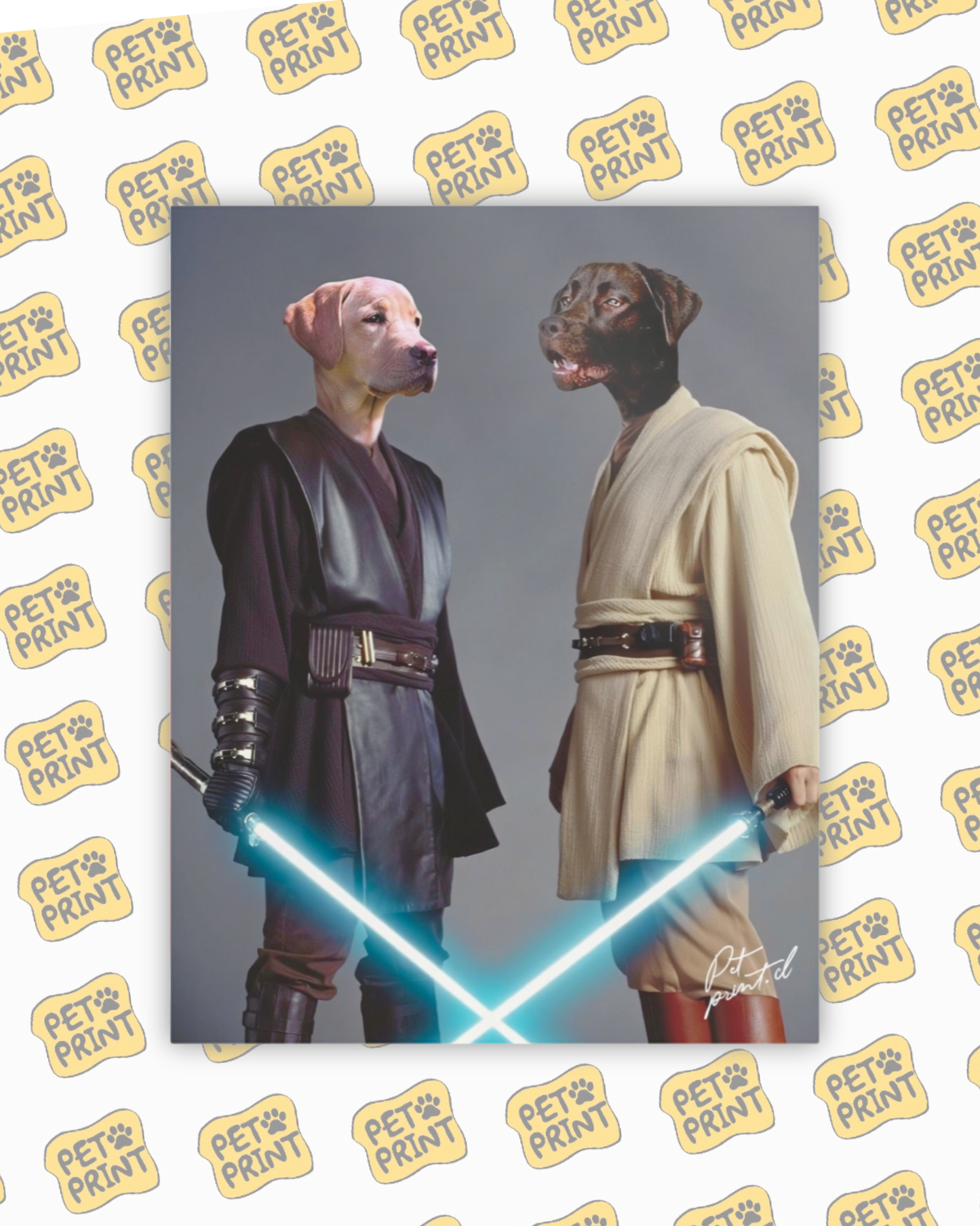 Cuadro Canvas - Star Wars (Dúo)