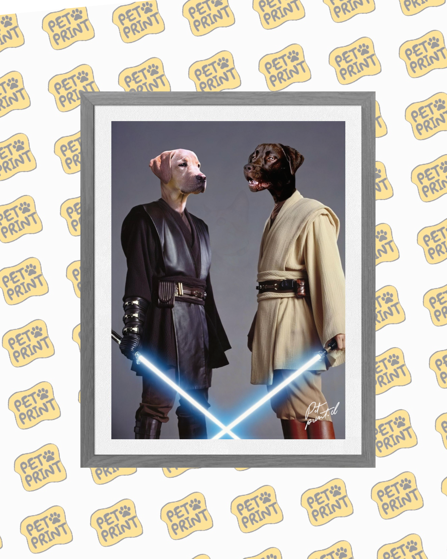 Cuadro Enmarcado - Star Wars (Dúo)
