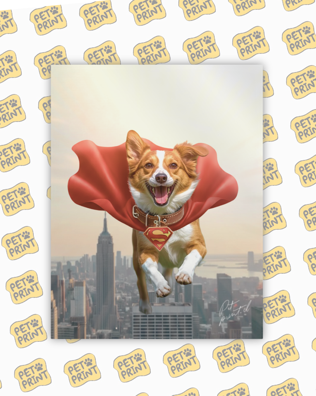 Cuadro Canvas - Super Pet