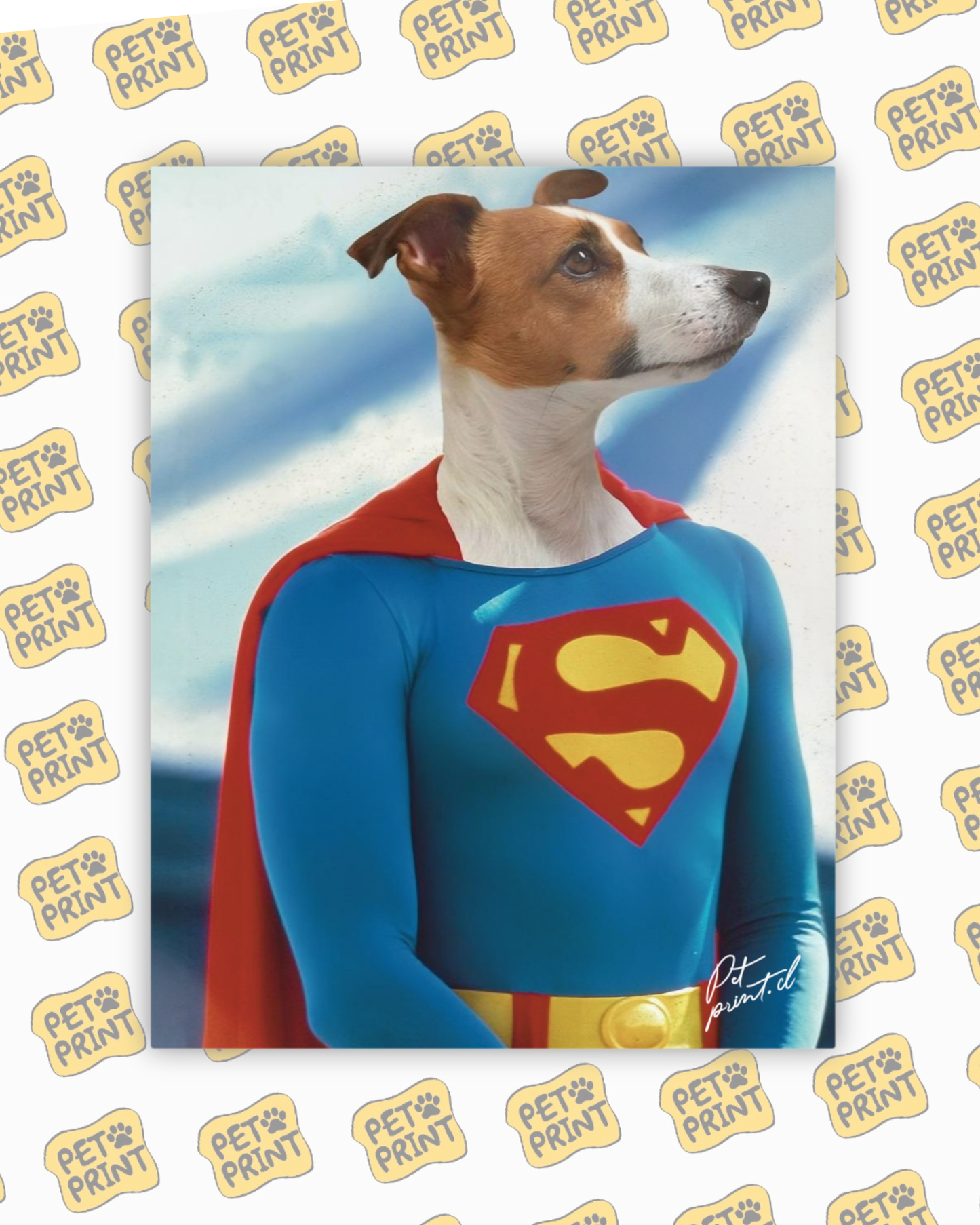 Cuadro Canvas - Superman