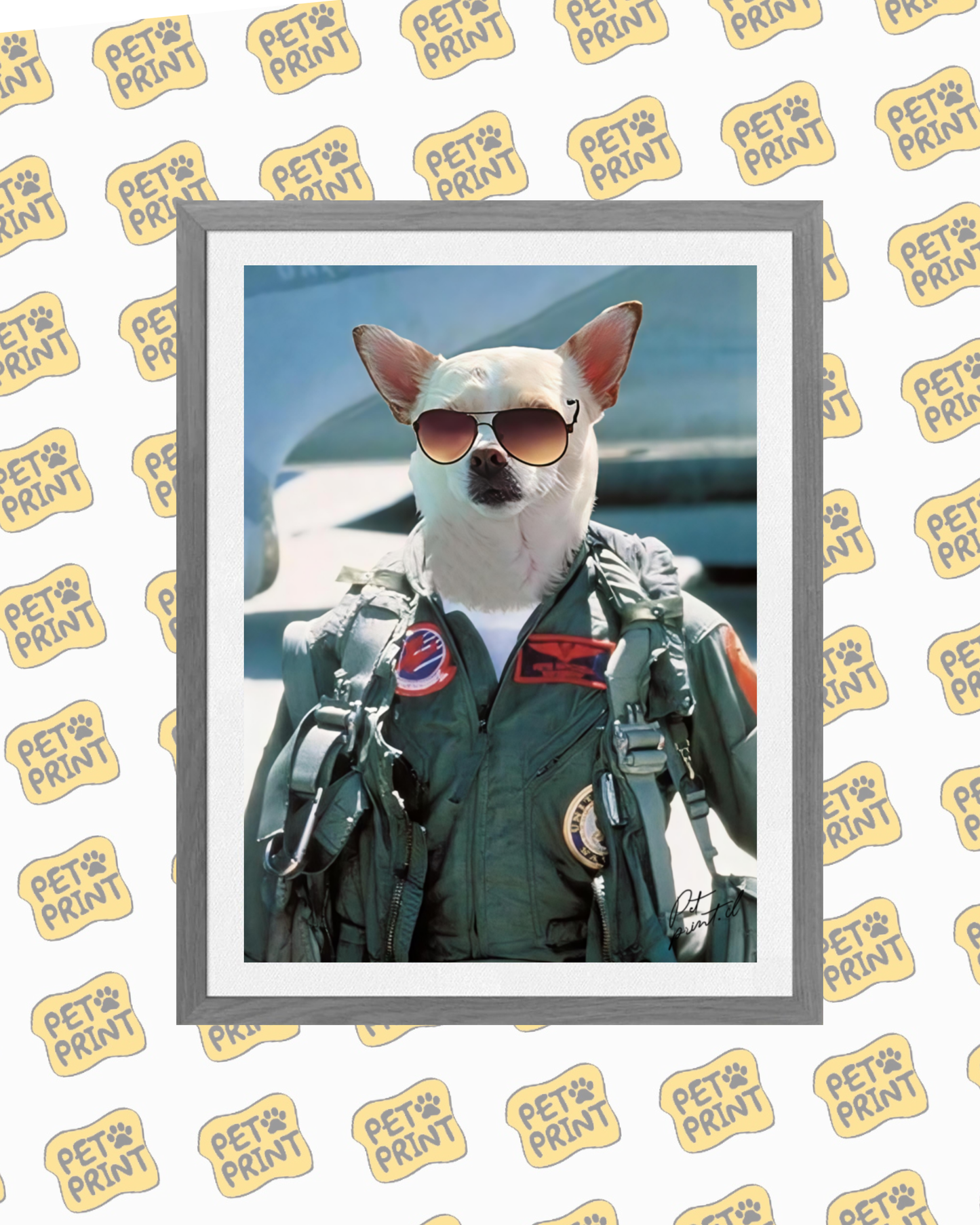 Cuadro Enmarcado - Top Gun