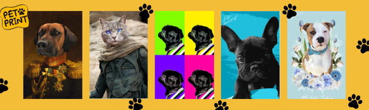 Consejos para tu mascota