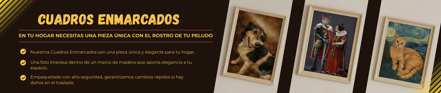 Cuadros Enmarcados