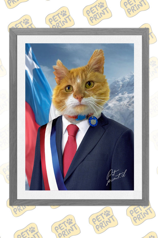 Cuadro Enmarcado - Presidente