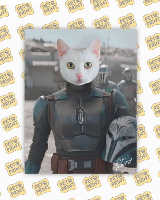 Cuadro Canvas - Bo-Katan Kryze