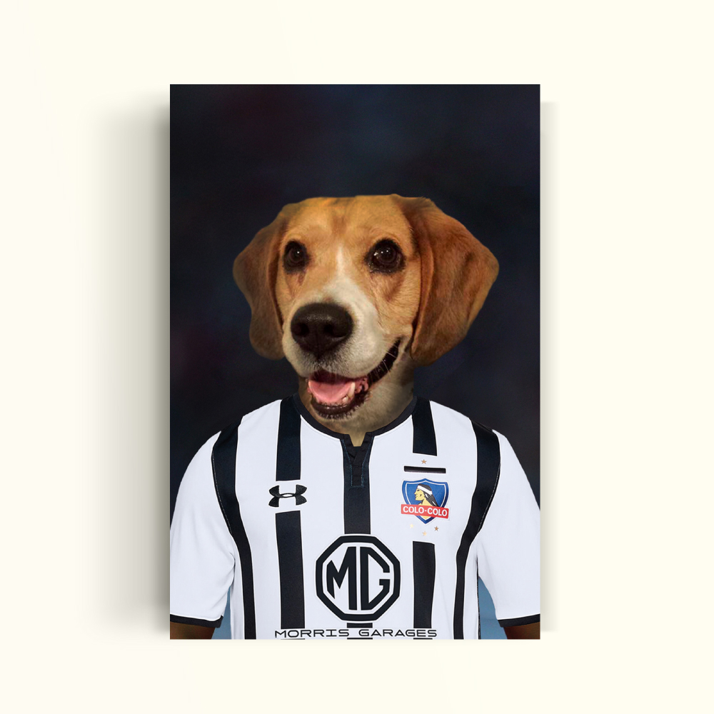 COLOR COLOR - PetPrint