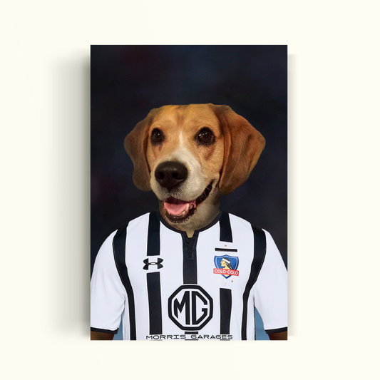 COLOR COLOR - PetPrint
