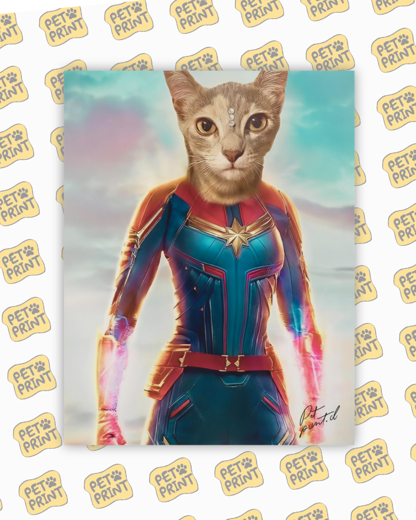 Cuadro Canvas - Capitana Marvel