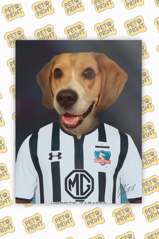 Cuadro Canvas - Jugador Colo-Colo