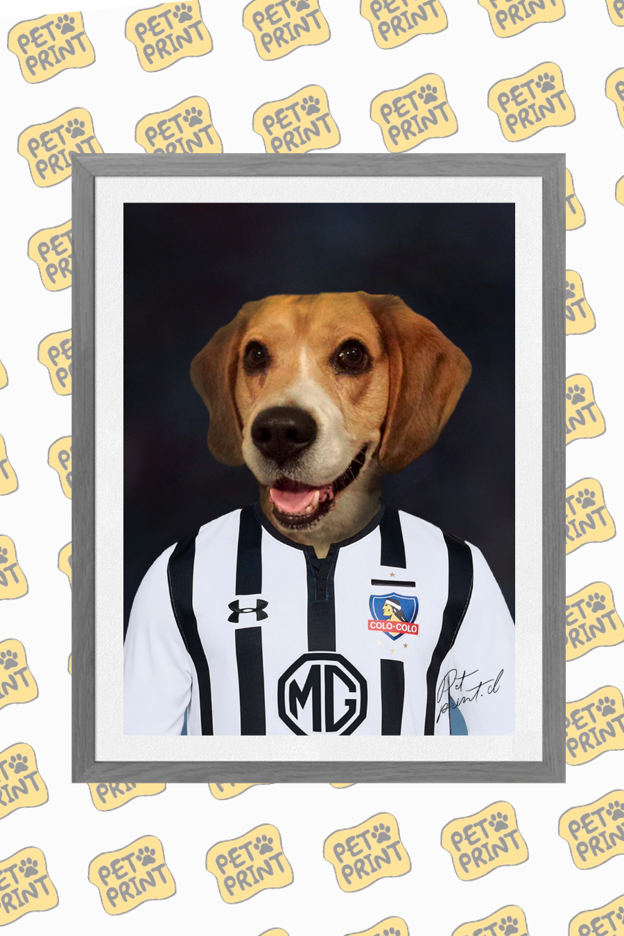 Cuadro Enmarcado- Jugador Colo-Colo