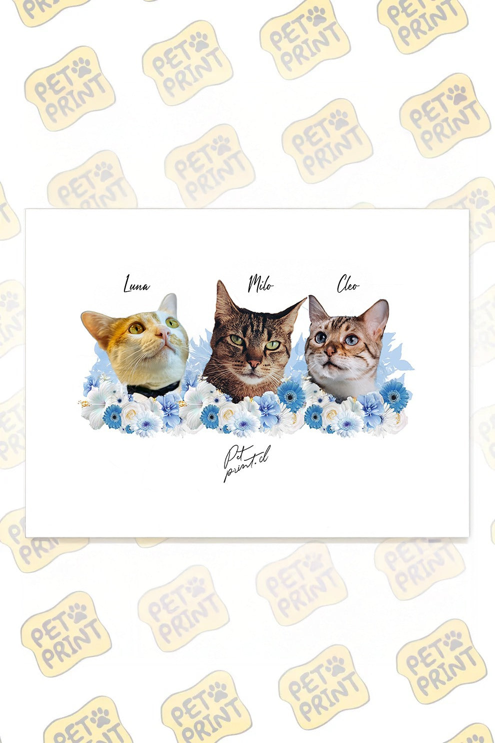 Cuadro Canvas- Equipo floral en Celeste