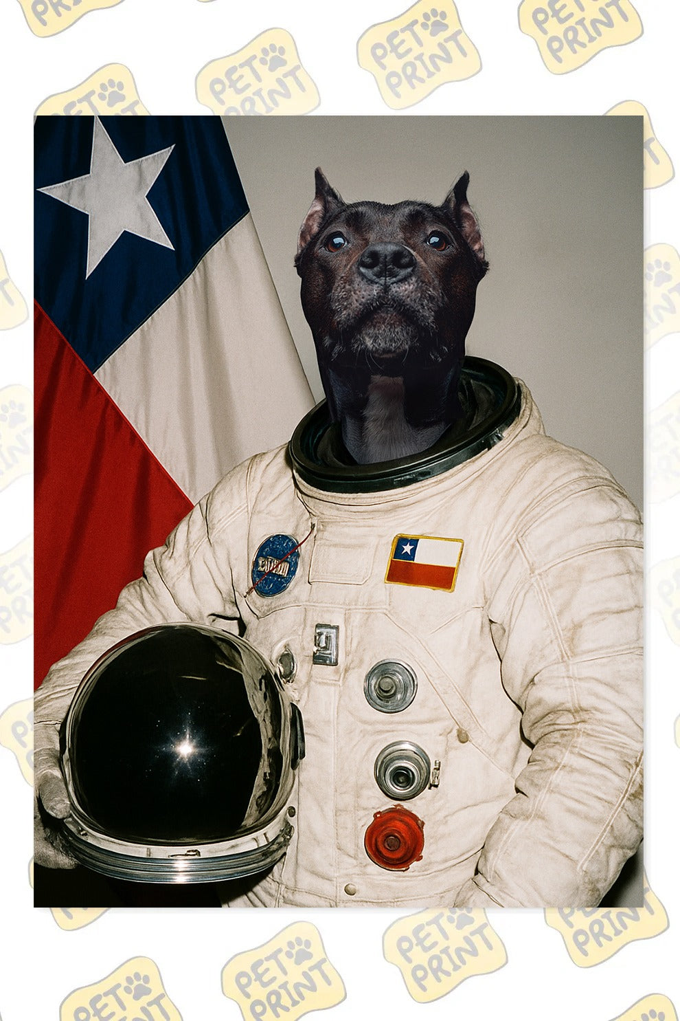 Cuadro Canvas - Pet Astronauta