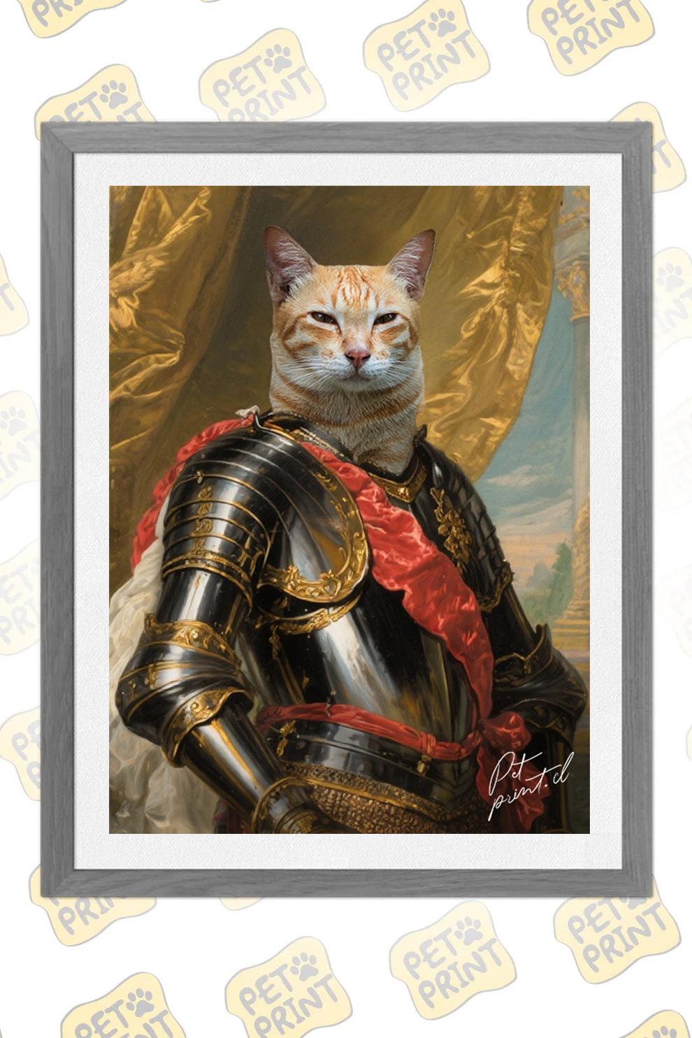 Cuadro Enmarcado - Caballero Gato