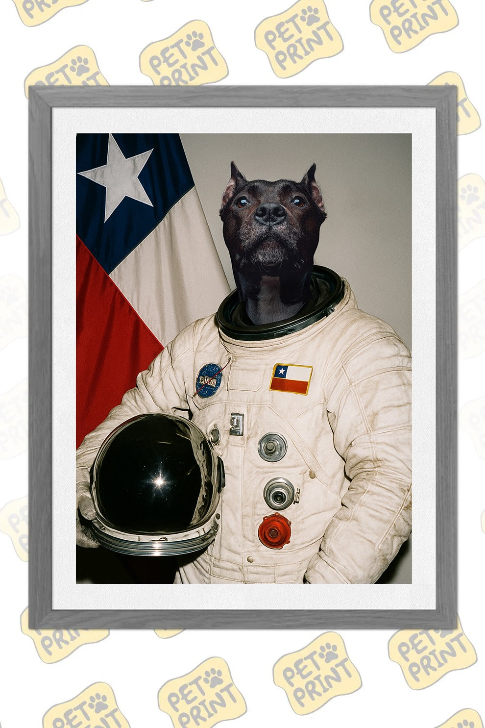 Cuadro Enmarcado - Pet Astronauta