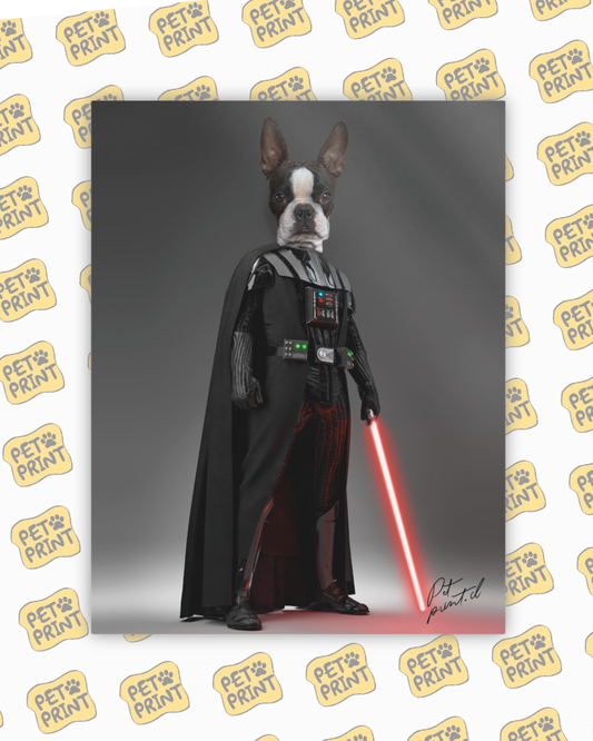 Cuadro Canvas - Darth Vader