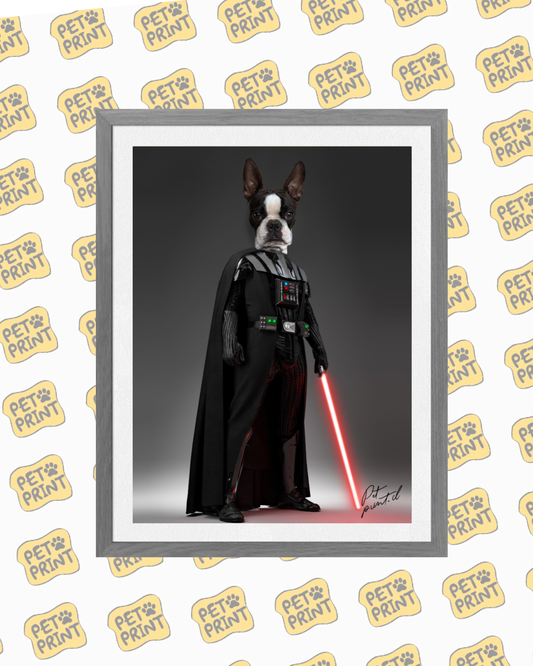 Cuadro Enmarcado -  Darth Vader