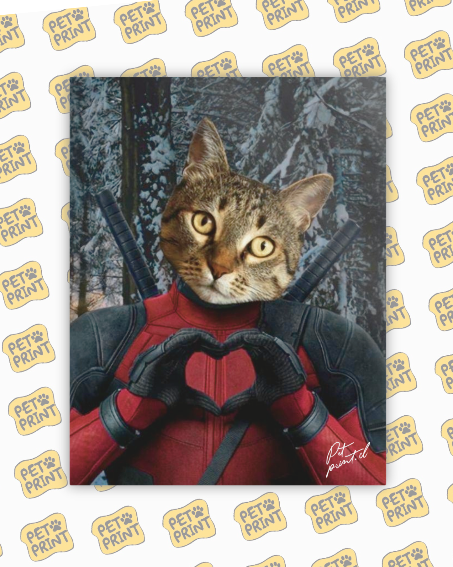 Cuadro Canvas - Deadpool