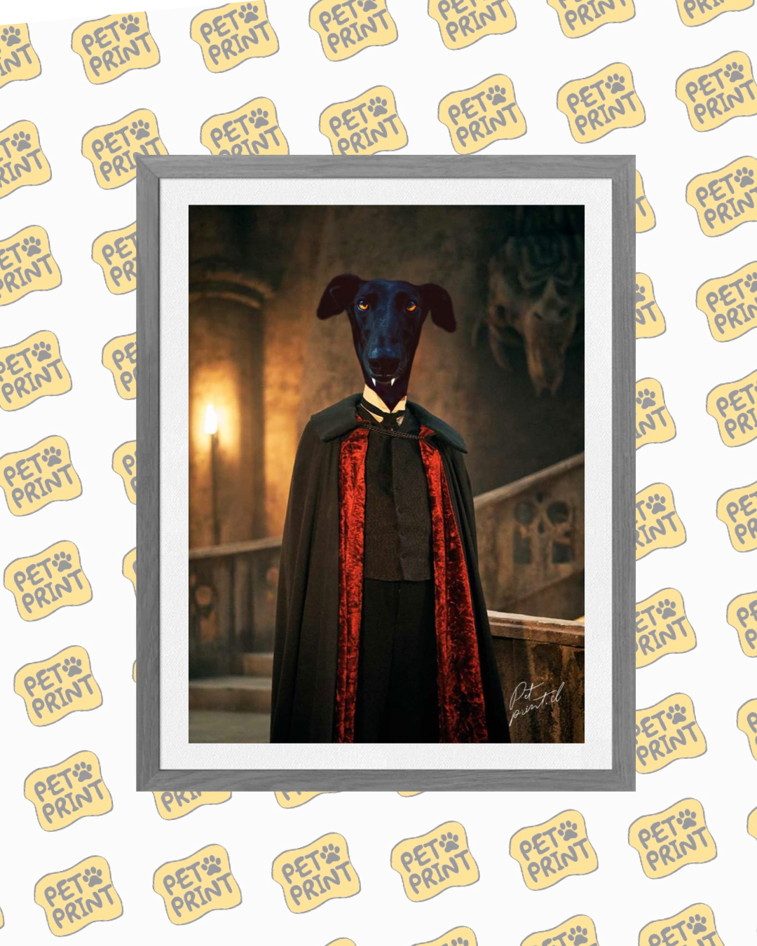 Cuadro Enmarcado - Drácula