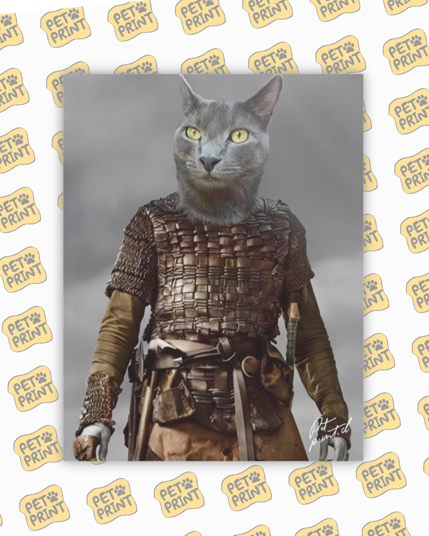 Cuadro Canvas - El Vikingo