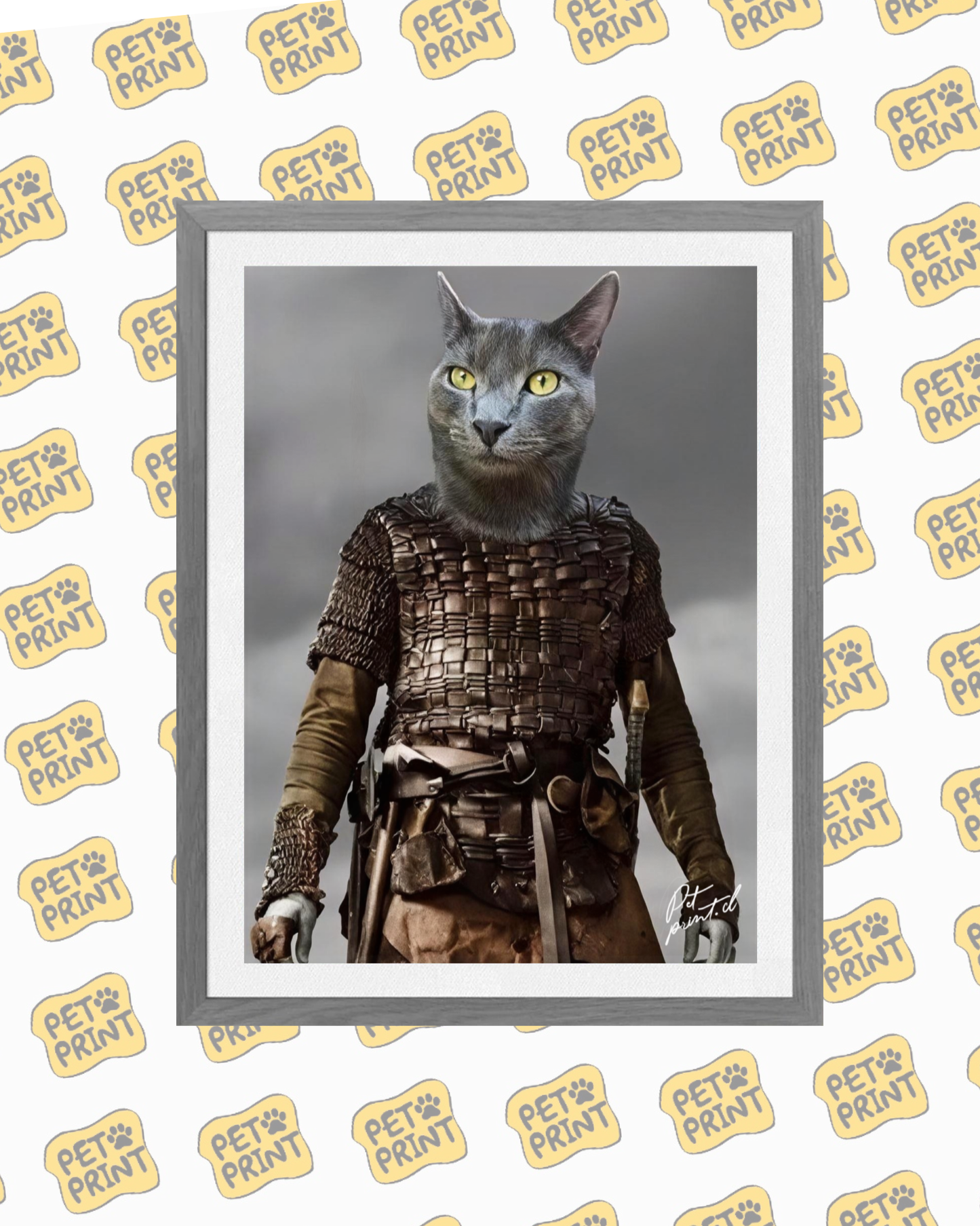 Cuadro Enmarcado - El Vikingo