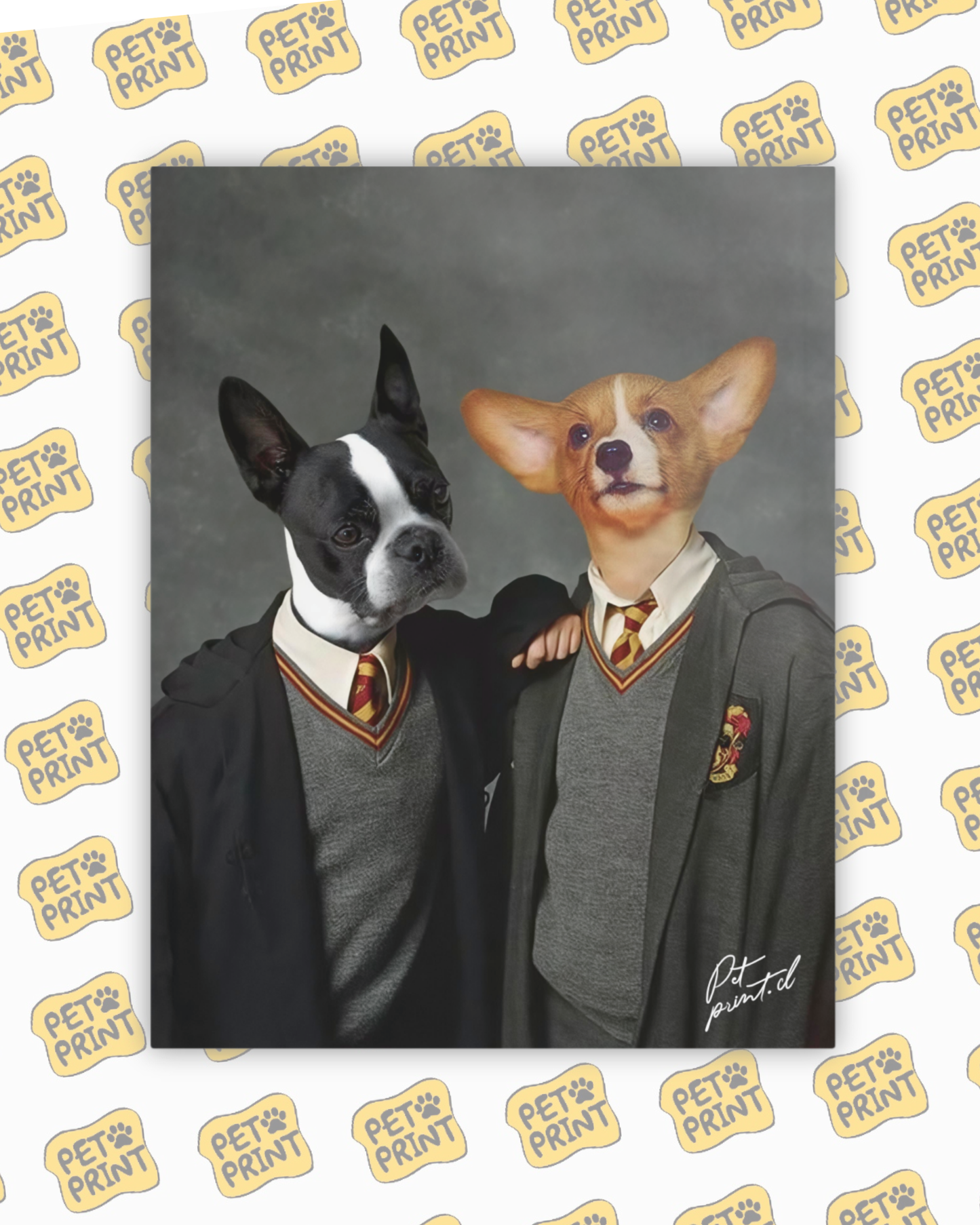 Cuadro Canvas - Equipo Gryffindor (Dúo)