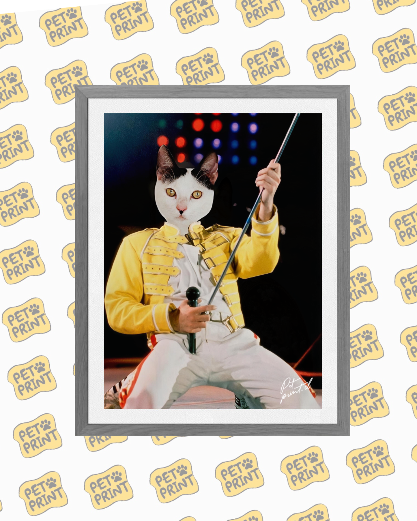 Cuadro Enmarcado -  Freddie Mercury