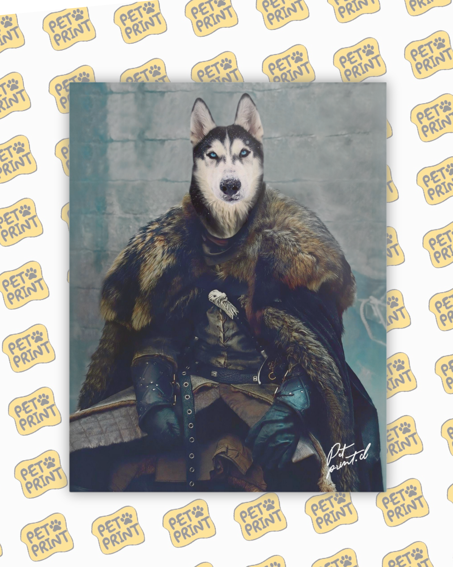 Cuadro Canvas - GOT - Jon Snow